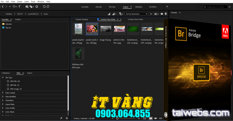 Tải Download Bridge 2025 Bản Mới Nhất