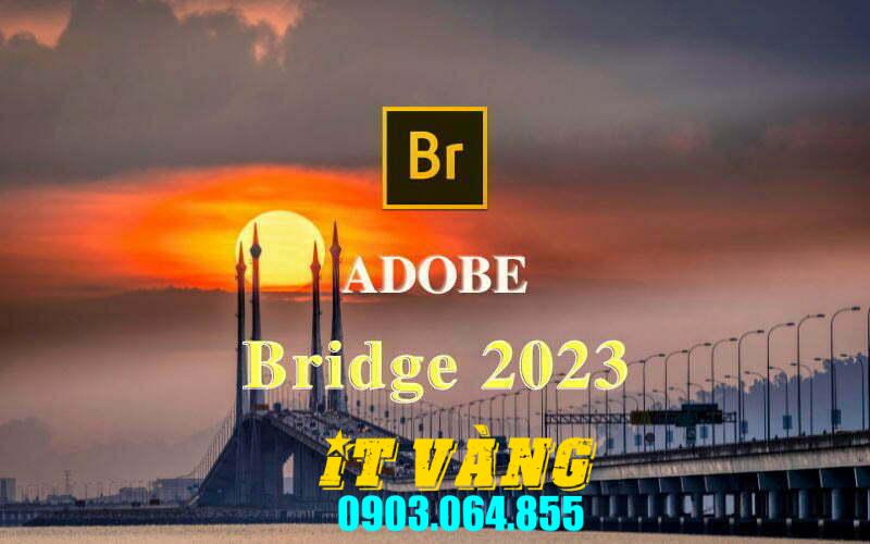 Tải Download Bridge 2025 Bản Mới Nhất