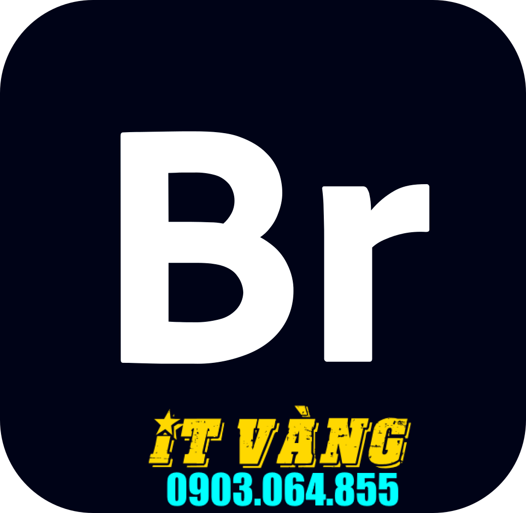 Tải Download Bridge 2024 Bản Miễn Phí