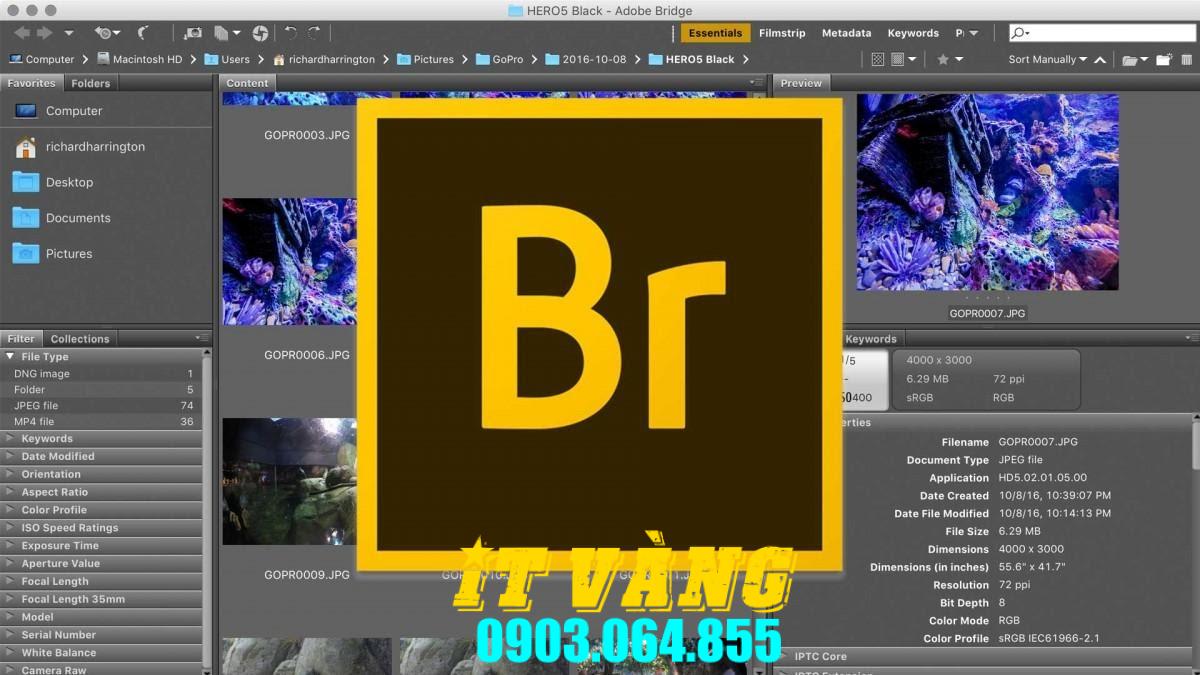 Tải Download Bridge 2024 Bản Miễn Phí