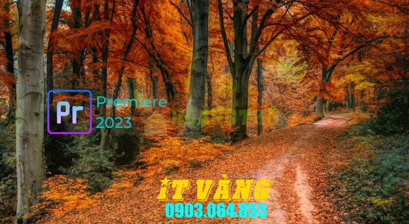 Tải Download Premiere Elements 2024 Bản Miễn Phí Tải Download Premiere Elements 2024 Bản Miễn Phí